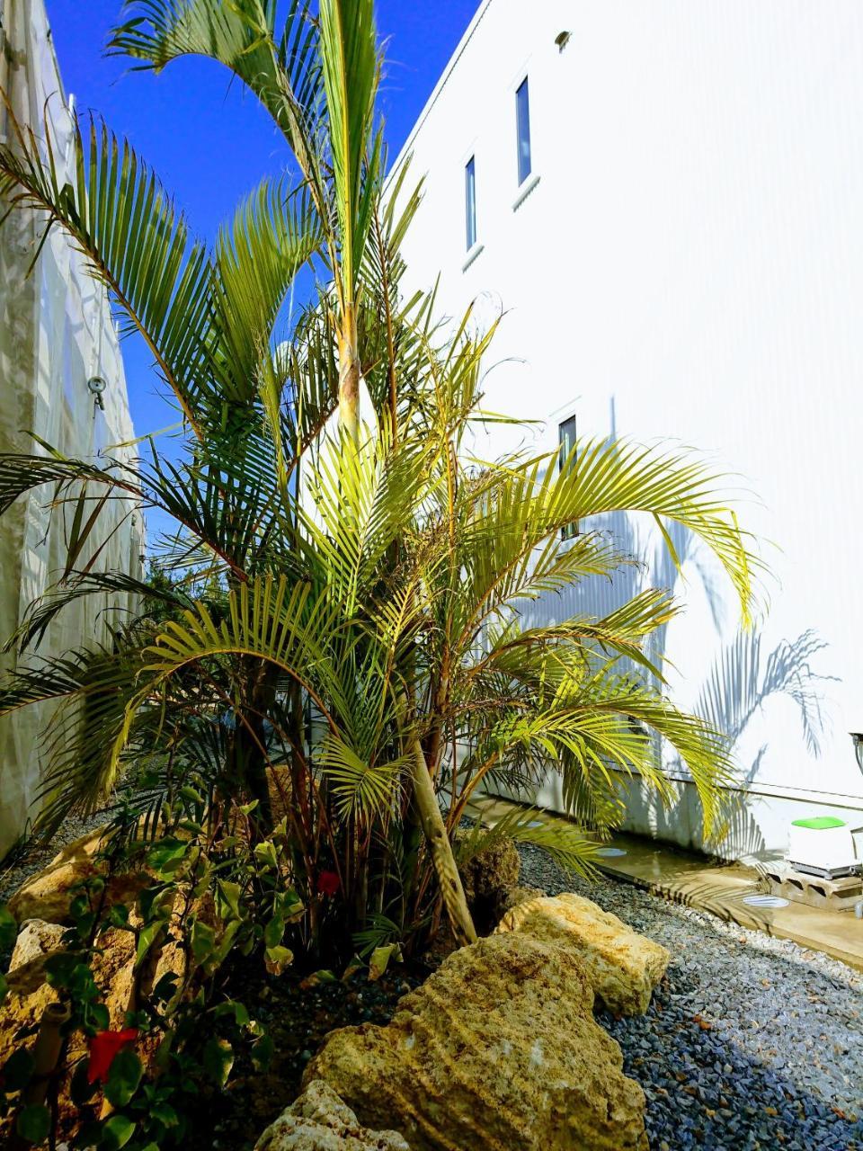 Premium Cottage Comfort Okinawa Onna Exteriör bild